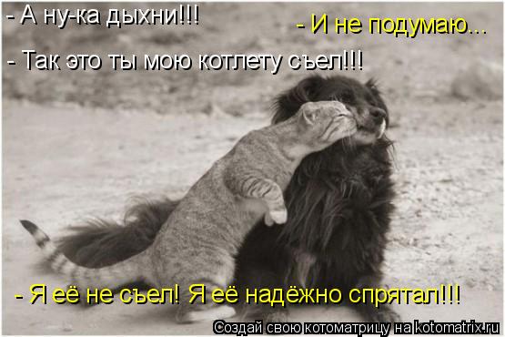 - Так это ты мою котлету съел!!! - А ну-ка дыхни!!! - Я её не съел! Я её надёжно спрятал!!! - И не по... Котоматрица: - Так это ты мою котлету съел!!! - А ну-ка дыхни!!! - Я её не съел! Я её надёжно спрятал!!! - И не подумаю...