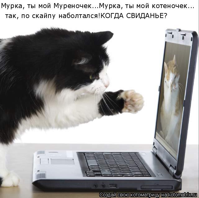 Мурка, ты мой Муреночек...Мурка, ты мой котеночек... так, по скайпу наболтался!КОГДА СВИДАНЬЕ?... Котоматрица: Мурка, ты мой Муреночек...Мурка, ты мой котеночек... так, по скайпу наболтался!КОГДА СВИДАНЬЕ?