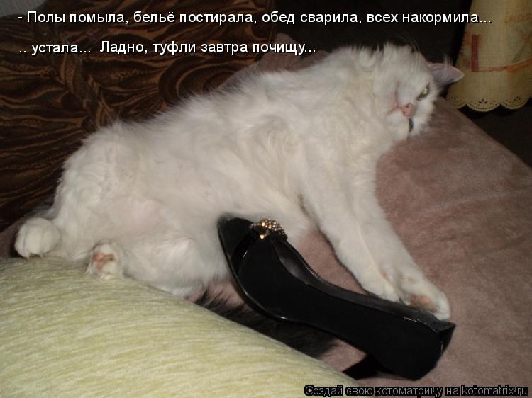 - Полы помыла, бельё постирала, обед сварила, всех накормила... .. устала... Ладно, туфли завтра поч... Котоматрица: - Полы помыла, бельё постирала, обед сварила, всех накормила... .. устала... Ладно, туфли завтра почищу...