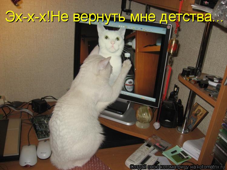 Эх-х-х!Не вернуть мне детства...... Котоматрица: Эх-х-х!Не вернуть мне детства...