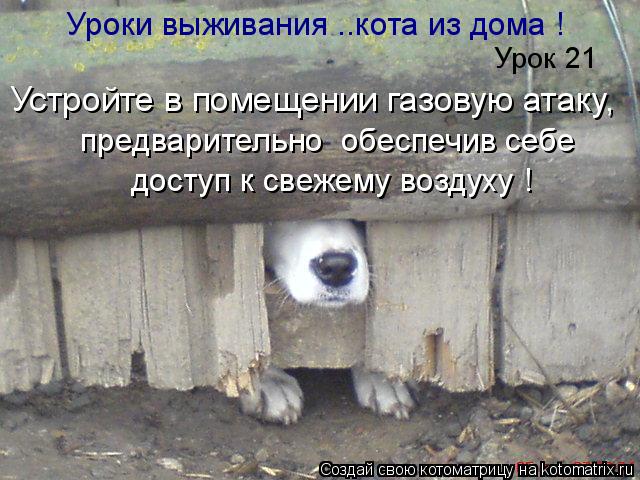 Уроки выживания ..кота из дома ! Устройте в помещении газовую атаку, предварительно обеспечив себе ... Котоматрица: Уроки выживания ..кота из дома ! Устройте в помещении газовую атаку, предварительно обеспечив себе доступ к свежему воздуху ! Урок 21