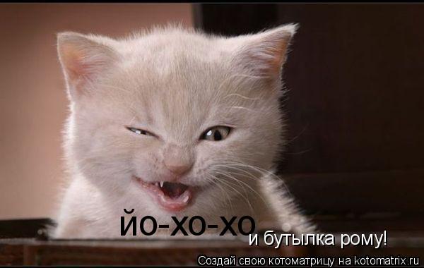 йо-хо-хо и бутылка рому!... Котоматрица: йо-хо-хо и бутылка рому!