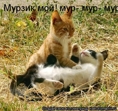 Мурзик мой! мур- мур- мур... Котоматрица: Мурзик мой! мур- мур- мур