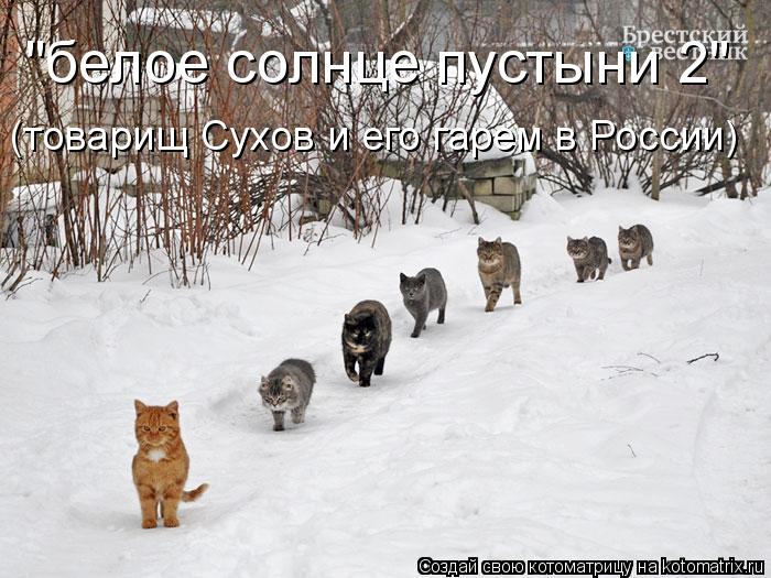 "белое солнце пустыни 2" (товарищ Сухов и его гарем в России)... Котоматрица: "белое солнце пустыни 2" (товарищ Сухов и его гарем в России)