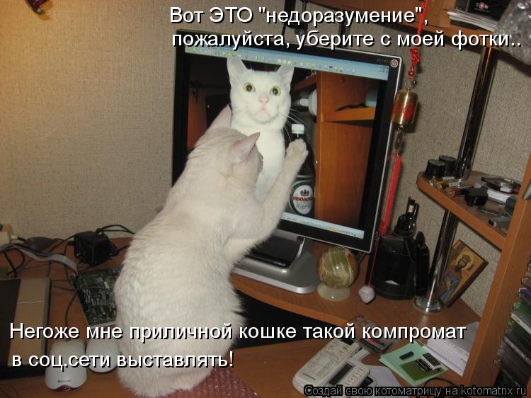 пожалуйста, уберите с моей фотки.. в соц.сети выставлять! Негоже мне приличной кошке такой компромат ... Котоматрица: пожалуйста, уберите с моей фотки.. в соц.сети выставлять! Негоже мне приличной кошке такой компромат Вот ЭТО "недоразумение",