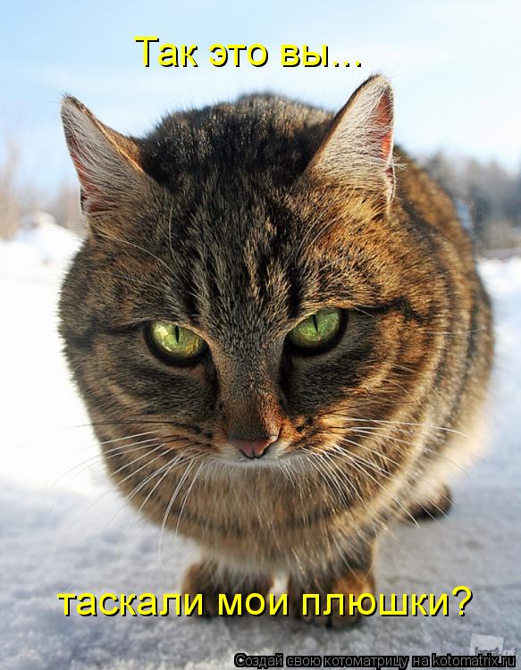 Так это вы... таскали мои плюшки?... Котоматрица: Так это вы... таскали мои плюшки?