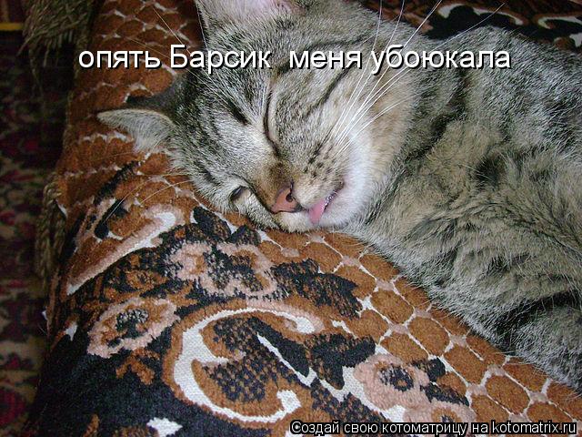 опять Барсик меня убоюкала... Котоматрица: опять Барсик меня убоюкала