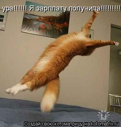 ура!!!!!! Я зарплату получила!!!!!!!!!... Котоматрица: ура!!!!!! Я зарплату получила!!!!!!!!!