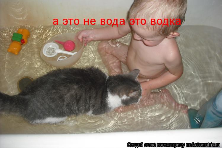 а это не вода это водка... Котоматрица: а это не вода это водка