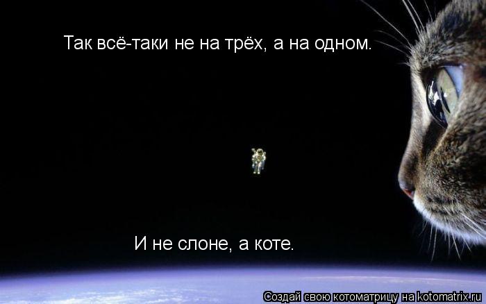 Так всё-таки не на трёх, а на одном. И не слоне, а коте.... Котоматрица: Так всё-таки не на трёх, а на одном. И не слоне, а коте.