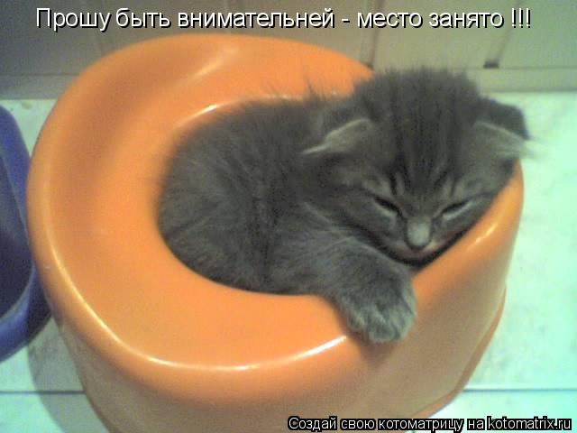 Прошу быть внимательней - место занято !!!... Котоматрица: Прошу быть внимательней - место занято !!!
