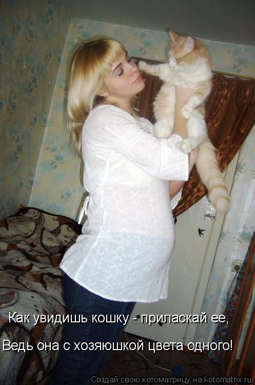 Как увидишь кошку - приласкай ее, Ведь она с хозяюшкой цвета одного!... Котоматрица: Как увидишь кошку - приласкай ее, Ведь она с хозяюшкой цвета одного!