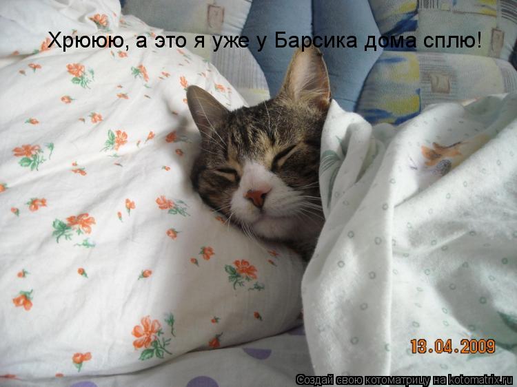 Хрююю, а это я уже у Барсика дома сплю!... Котоматрица: Хрююю, а это я уже у Барсика дома сплю!