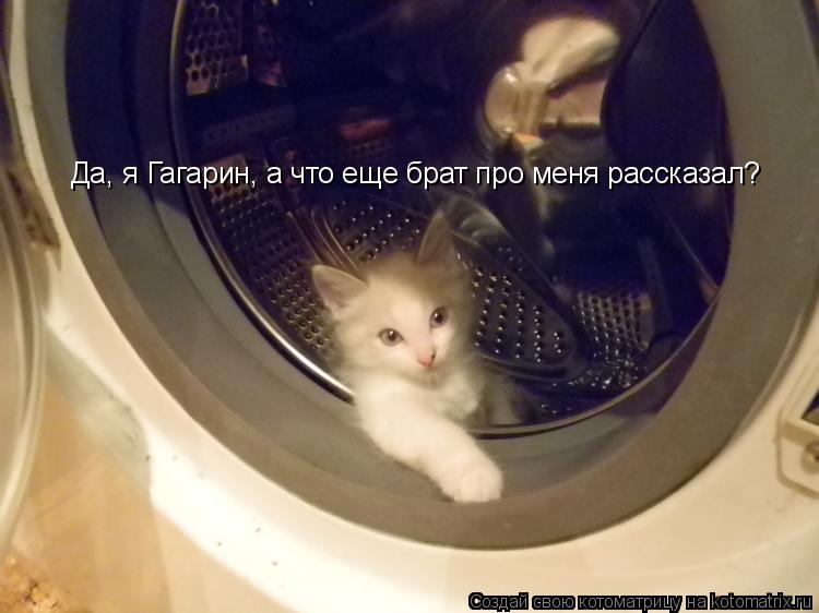 Да, я Гагарин, а что еще брат про меня рассказал?... Котоматрица: Да, я Гагарин, а что еще брат про меня рассказал?