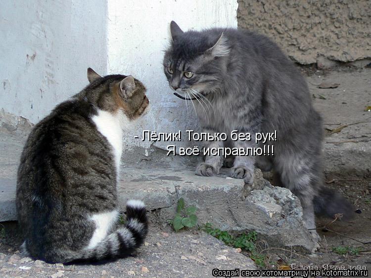 - Лёлик! Только без рук! Я всё исправлю!!!... Котоматрица: - Лёлик! Только без рук! Я всё исправлю!!!