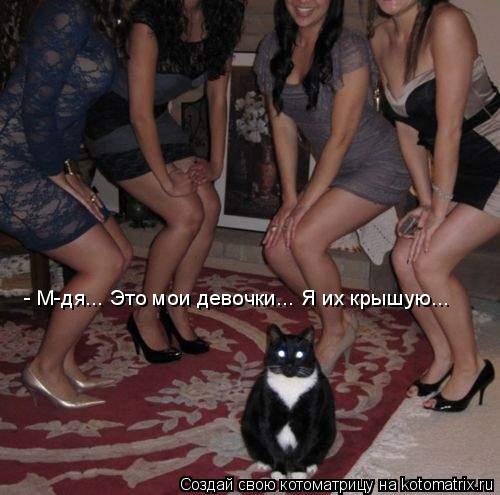 - М-дя... Это мои девочки... Я их крышую...... Котоматрица: - М-дя... Это мои девочки... Я их крышую...