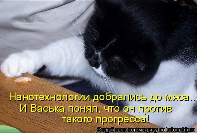 Нанотехнологии добрались до мяса... И Васька понял, что он против такого прогресса!... Котоматрица: Нанотехнологии добрались до мяса... И Васька понял, что он против такого прогресса!