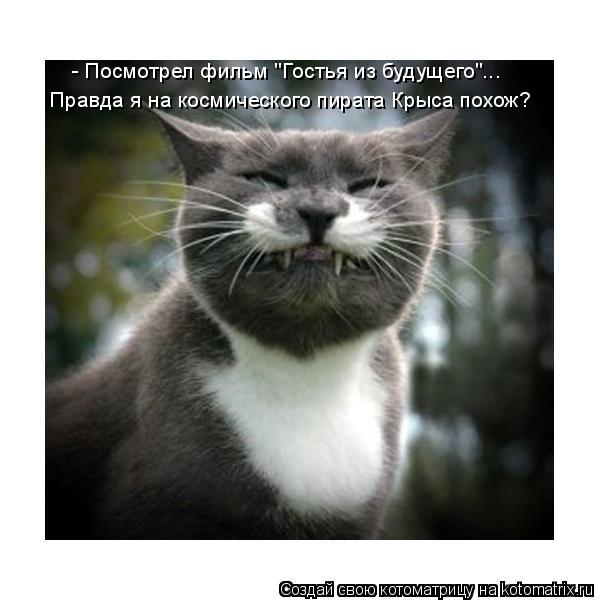 Правда я на космического пирата Крыса похож? - Посмотрел фильм "Гостья из будущего"...... Котоматрица: Правда я на космического пирата Крыса похож? - Посмотрел фильм "Гостья из будущего"...