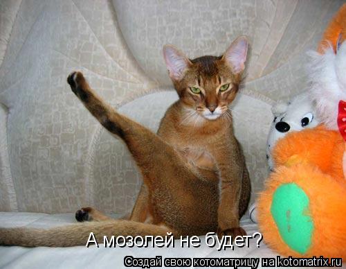 А мозолей не будет?... Котоматрица: А мозолей не будет?