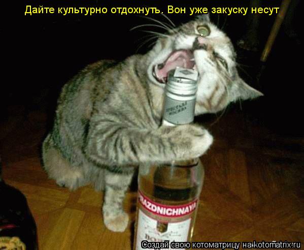 Дайте культурно отдохнуть. Вон уже закуску несут... Котоматрица: Дайте культурно отдохнуть. Вон уже закуску несут