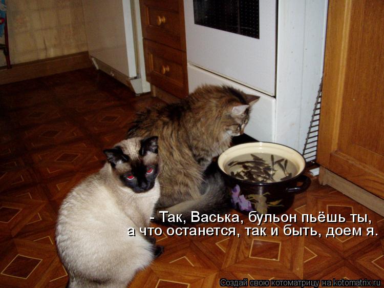 - Так, Васька, бульон пьёшь ты, а что останется, так и быть, доем я.... Котоматрица: - Так, Васька, бульон пьёшь ты, а что останется, так и быть, доем я.