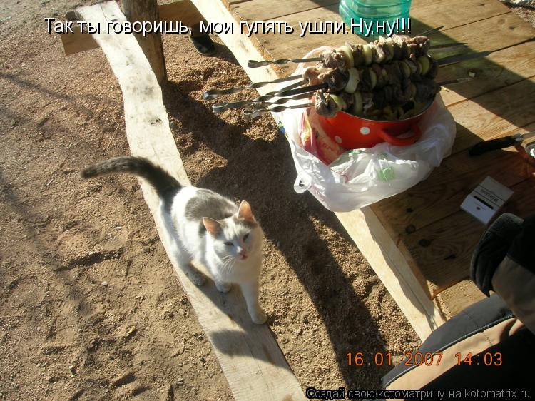 Так ты говоришь, мои гулять ушли.Ну,ну!!!... Котоматрица: Так ты говоришь, мои гулять ушли.Ну,ну!!!