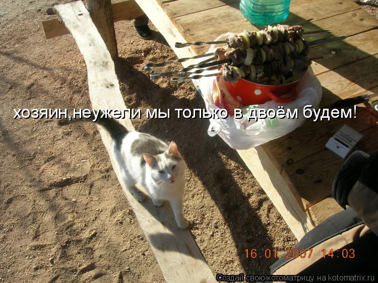 хозяин,неужели мы только в двоём будем!... Котоматрица: хозяин,неужели мы только в двоём будем!