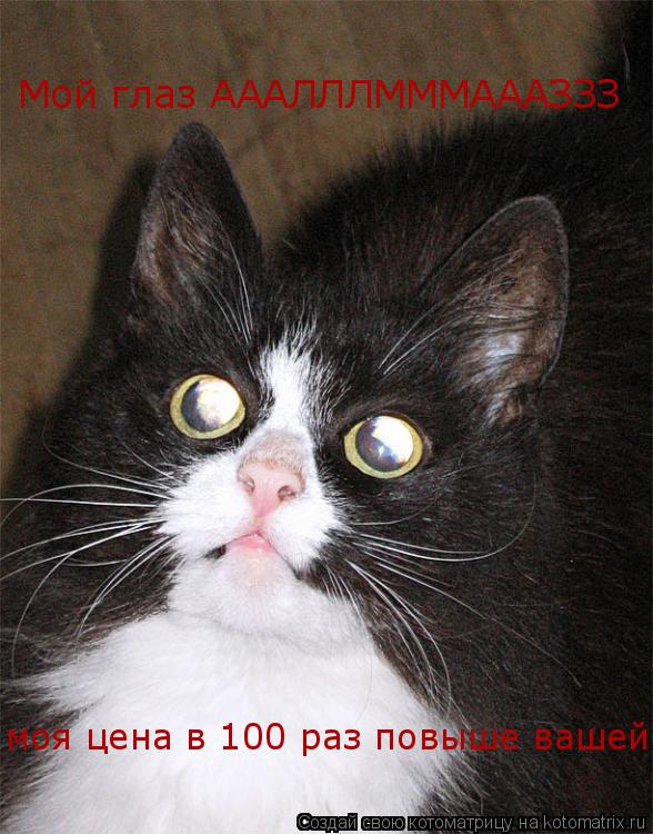 Мой глаз АААЛЛЛМММАААЗЗЗ моя цена в 100 раз повыше вашей... Котоматрица: Мой глаз АААЛЛЛМММАААЗЗЗ моя цена в 100 раз повыше вашей