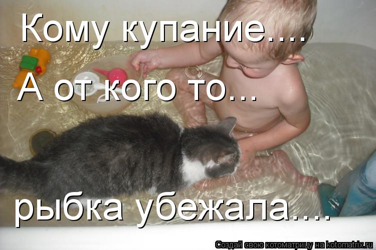 Кому купание.... А от кого то... рыбка убежала....... Котоматрица: Кому купание.... А от кого то... рыбка убежала....