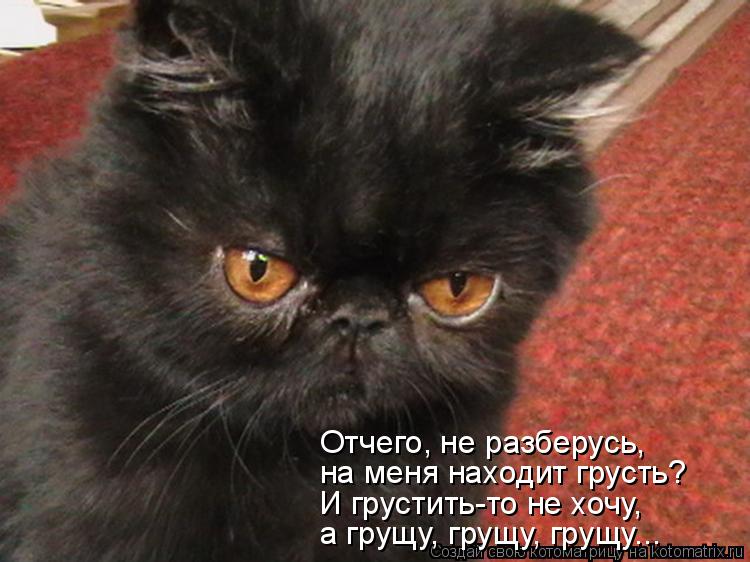 Отчего, не разберусь, на меня находит грусть? И грустить-то не хочу, а грущу, грущу, грущу...... Котоматрица: Отчего, не разберусь, на меня находит грусть? И грустить-то не хочу, а грущу, грущу, грущу...