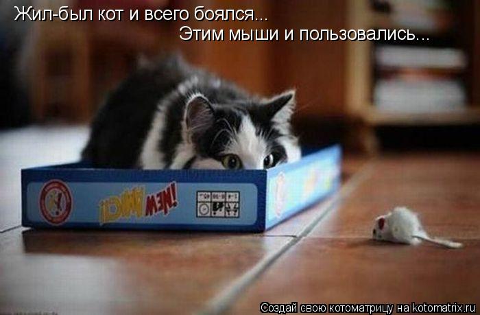 Жил-был кот и всего боялся... Этим мыши и пользовались...... Котоматрица: Жил-был кот и всего боялся... Этим мыши и пользовались...