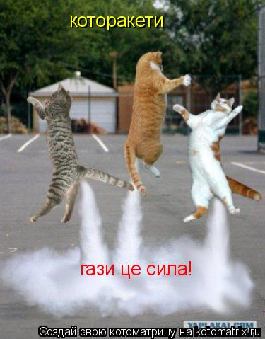 гази це сила! которакети... Котоматрица: гази це сила! которакети