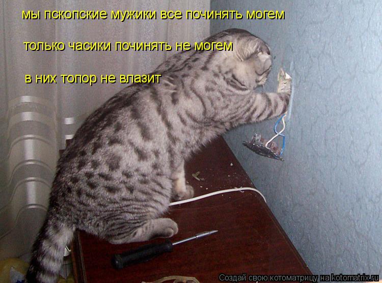 мы пскопские мужики все починять могем только часики починять не могем в них топор не влазит... Котоматрица: мы пскопские мужики все починять могем только часики починять не могем в них топор не влазит