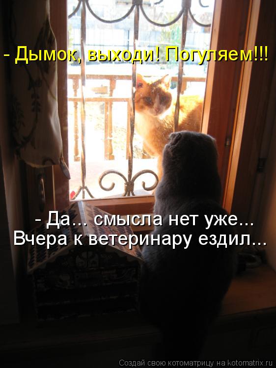 - Дымок, выходи! Погуляем!!! - Да... смысла нет уже... Вчера к ветеринару ездил...... Котоматрица: - Дымок, выходи! Погуляем!!! - Да... смысла нет уже... Вчера к ветеринару ездил...