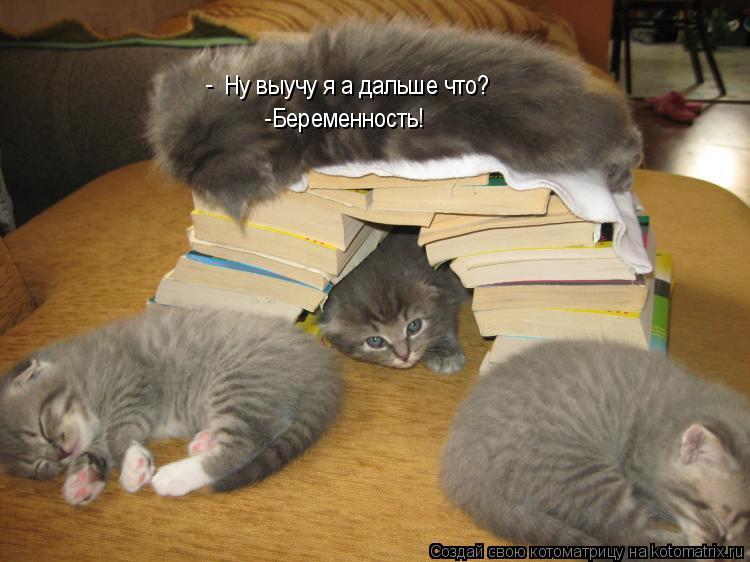 Ну выучу я а дальше что? -Беременность! -... Котоматрица: Ну выучу я а дальше что? -Беременность! -