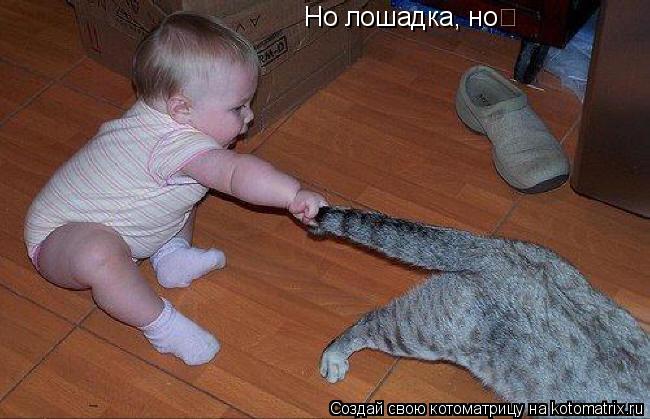 Но лошадка, но... Котоматрица: Но лошадка, но