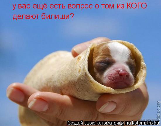 у вас ещё есть вопрос о том из КОГО делают билиши?... Котоматрица: у вас ещё есть вопрос о том из КОГО делают билиши?