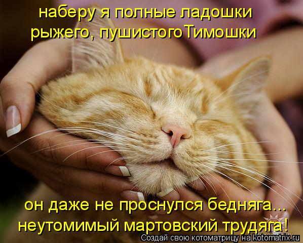наберу я полные ладошки рыжего, пушистогоТимошки он даже не проснулся бедняга... неутомимый мартовск... Котоматрица: наберу я полные ладошки рыжего, пушистогоТимошки он даже не проснулся бедняга... неутомимый мартовский трудяга!