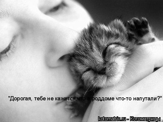 "Дорогая, тебе не кажется,что в роддоме что-то напутали?"... Котоматрица: "Дорогая, тебе не кажется,что в роддоме что-то напутали?"