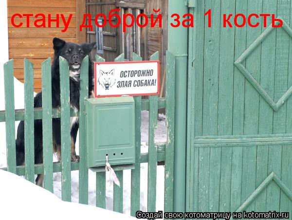стану доброй за 1 кость... Котоматрица: стану доброй за 1 кость
