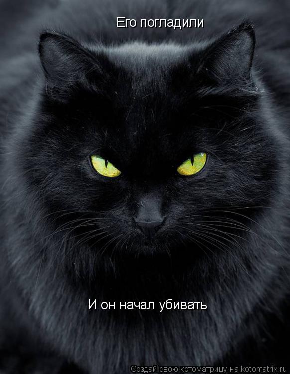 Его погладили И он начал убивать... Котоматрица: Его погладили И он начал убивать