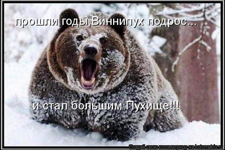 прошли годы,Виннипух подрос... и стал большим Пухище!!!... Котоматрица: прошли годы,Виннипух подрос... и стал большим Пухище!!!