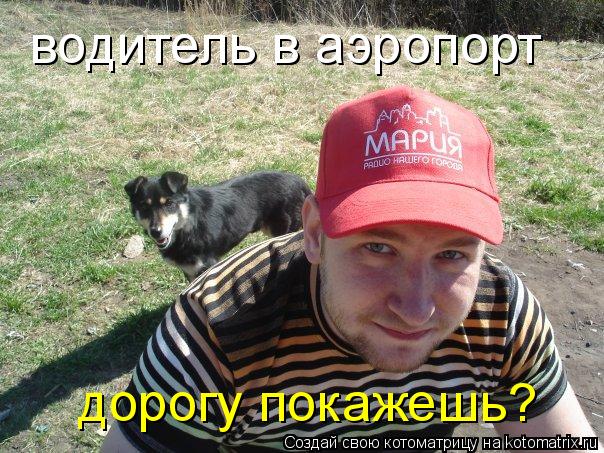 водитель в аэропорт дорогу покажешь?... Котоматрица: водитель в аэропорт дорогу покажешь?