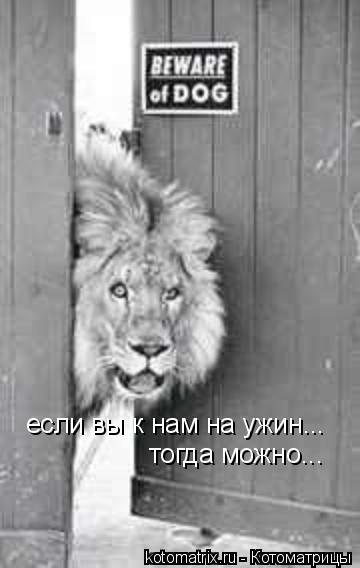 если вы к нам на ужин... тогда можно...... Котоматрица: если вы к нам на ужин... тогда можно...