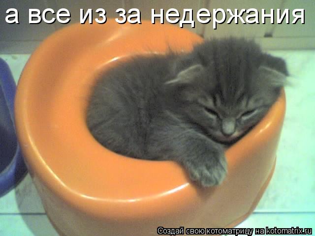 а все из за недержания... Котоматрица: а все из за недержания