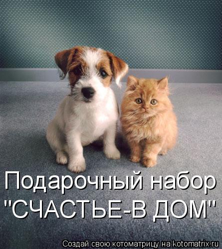 Подарочный набор "СЧАСТЬЕ-В ДОМ"... Котоматрица: Подарочный набор "СЧАСТЬЕ-В ДОМ"