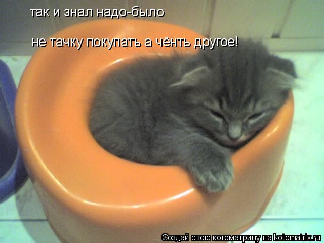 так и знал надо-было не тачку покупать а чёнть другое!... Котоматрица: так и знал надо-было не тачку покупать а чёнть другое!