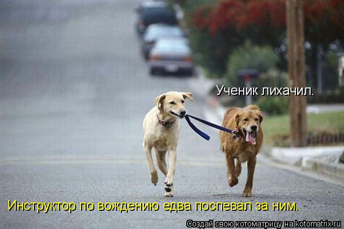 Ученик лихачил. Инструктор по вождению едва поспевал за ним.... Котоматрица: Ученик лихачил. Инструктор по вождению едва поспевал за ним.