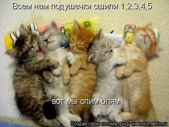 Всем нам подушечки сшили 1,2,3,4,5 вот мы спим опям... Котоматрица: Всем нам подушечки сшили 1,2,3,4,5 вот мы спим опям