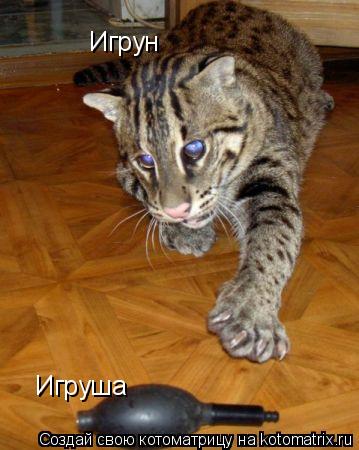Игрун Игруша... Котоматрица: Игрун Игруша